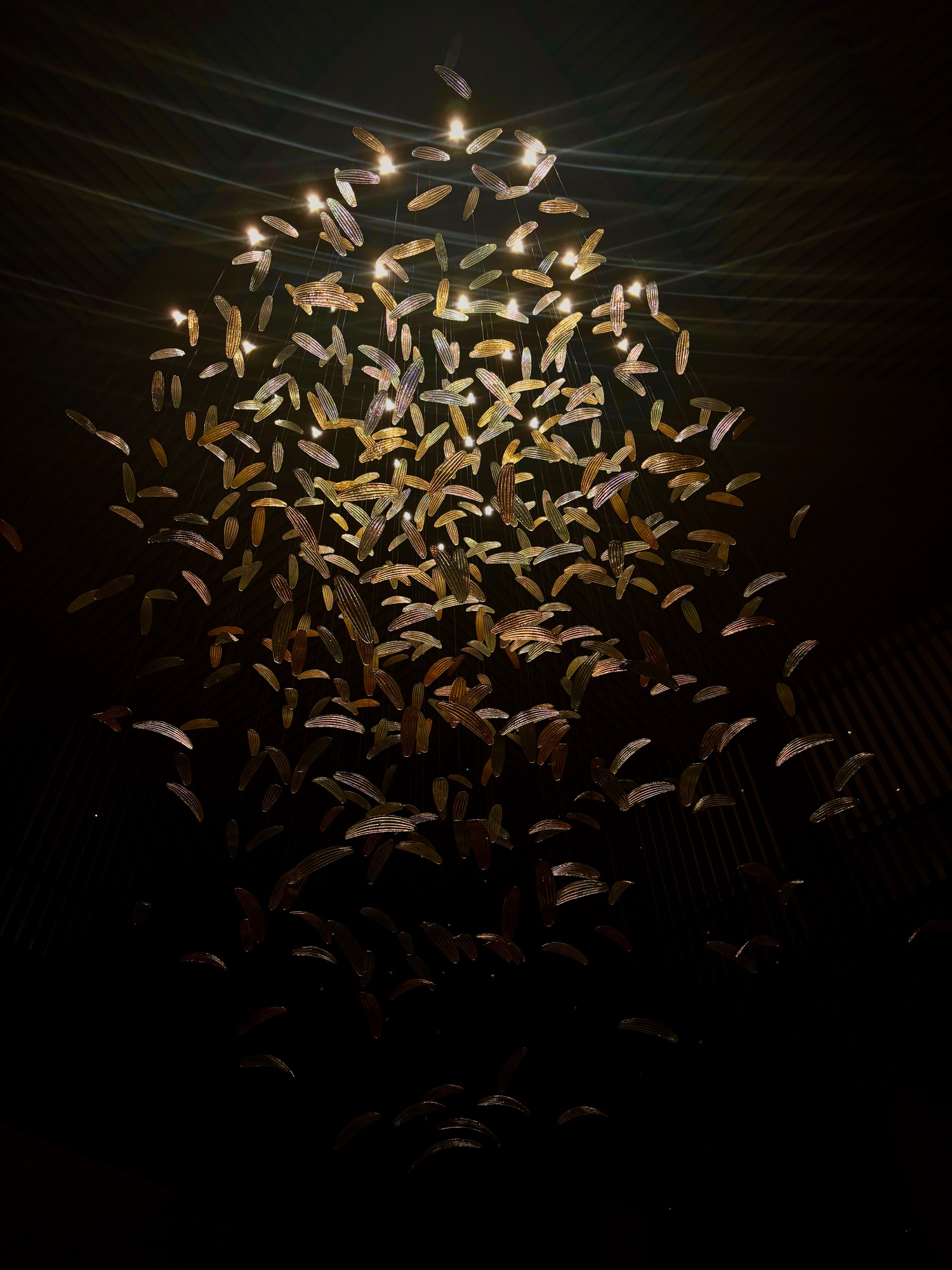 Photograph 18