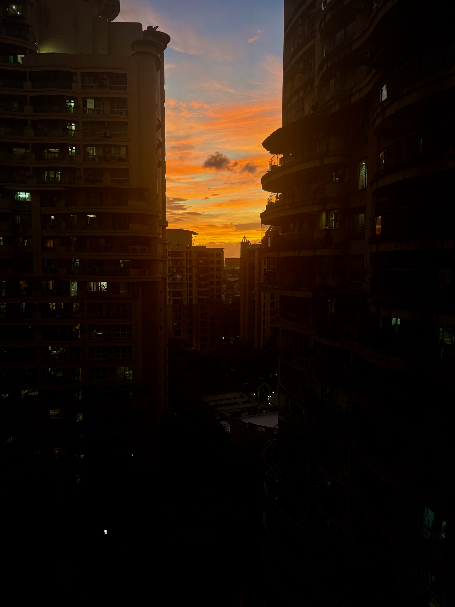 Photograph 13