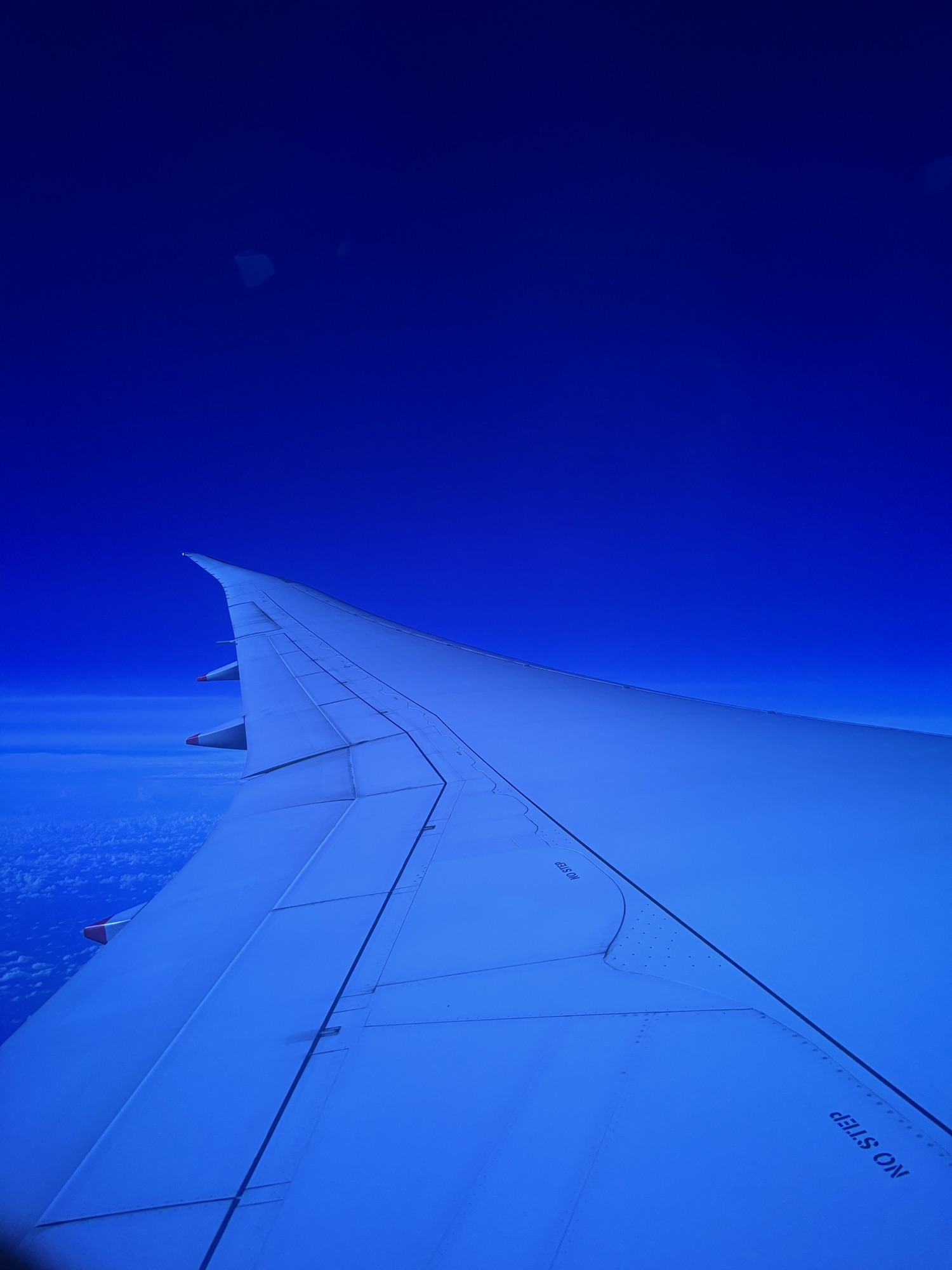 Blue hour, mid-flight